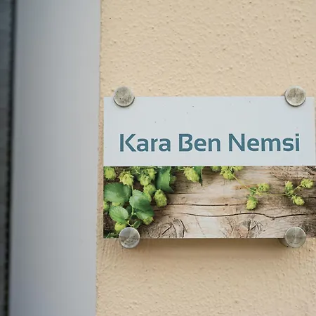 Kara Ben Nemsi דירה Ilmmunster
